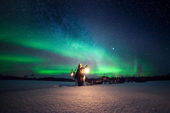 Aurora Hunting by Reindeer Sleigh - Key points before you book