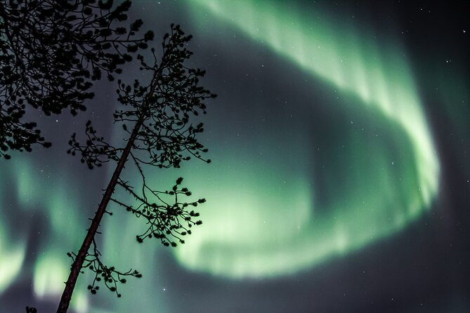 Aurora Hunting Photo Tour from Rovaniemi with Pickup - Why the moving hunt matters in Rovaniemi