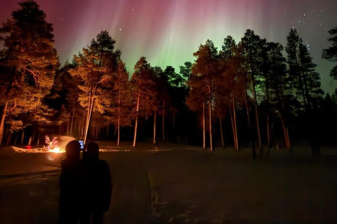 Aurora Hunting Tour from Saariselkä/Inari - Photos you can actually keep