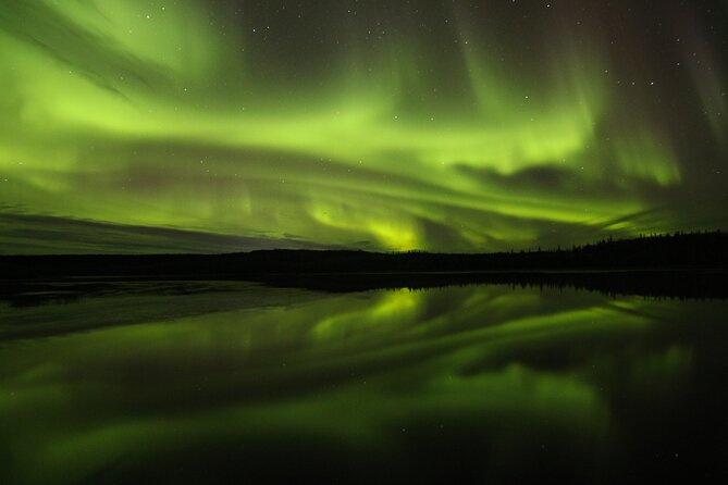 Aurora Hunting Tours - Price and value at $134.43 per person