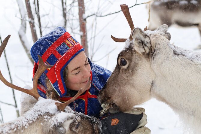 Aurora Hunting with Reindeer Caravan - Leaving Kiruna at 5:30 pm