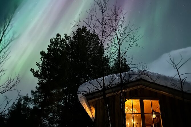 Aurora Hunting with Reindeer Caravan - Is $321 a fair price?