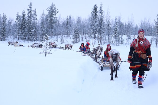 Aurora Hunting with Reindeer Caravan - Who will enjoy this most?