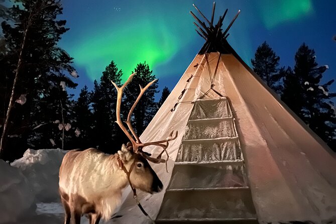 Aurora Hunting with Reindeer Caravan - The reindeer caravan through the snow