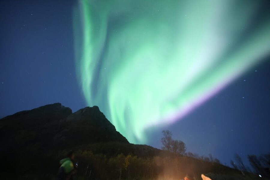 Aurora Optimum: Best 3-Night Forecast - Price and value at $209 per person