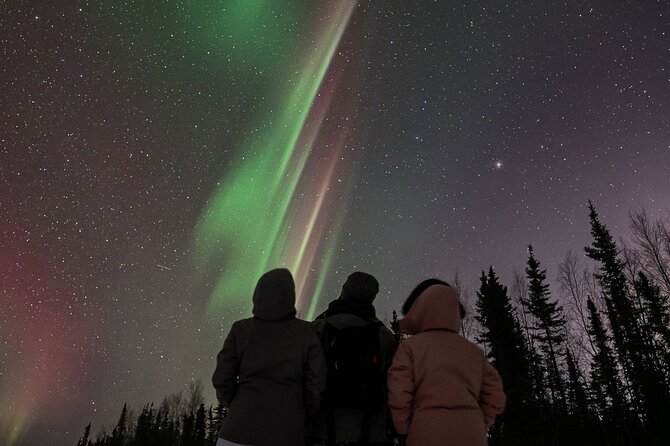 Aurora Oval Nightly Northern Lights Chase - Lindsay’s personal touch and clear explanations