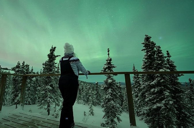 Aurora Oval Nightly Northern Lights Chase - A private tour with room to adjust