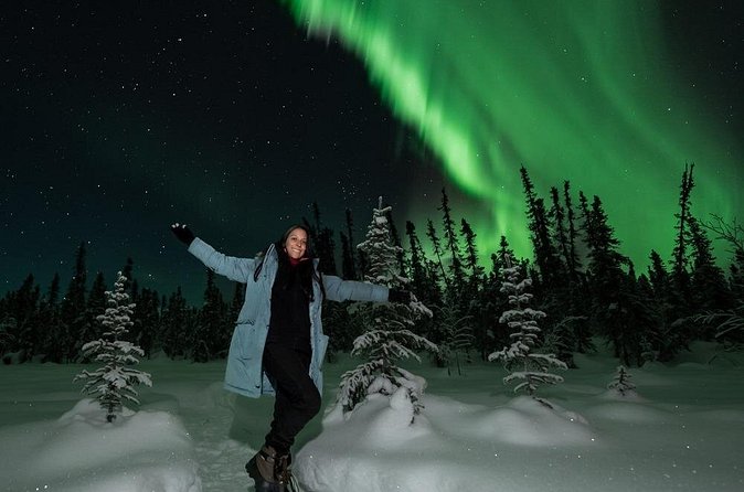 Aurora Oval Nightly Northern Lights Chase - Is $225 a fair price?