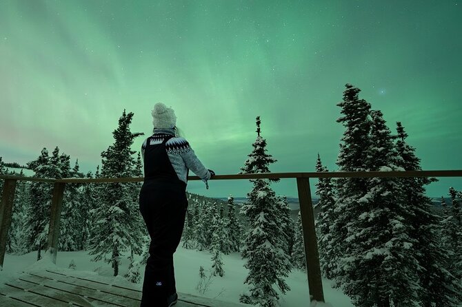 Aurora Oval Nightly Northern Lights Chase - What your 8-hour night looks like