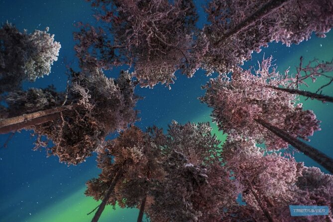 Aurora Photography Tour 3 HOURS - Warm drinks make a real difference