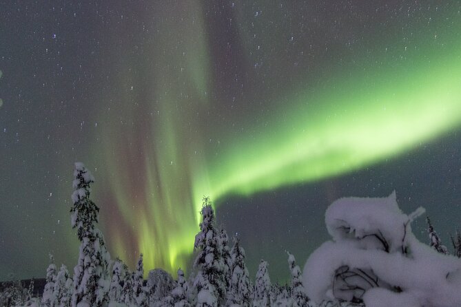 Aurora Sleighers Snowmobile Tour in Fairbanks - Waiting for the northern lights