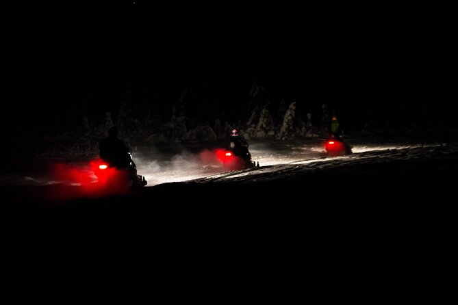 Aurora Sleighers Snowmobile Tour in Fairbanks - Small groups and the value of personal attention