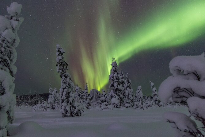 Aurora Sleighers Snowmobile Tour in Fairbanks - Who will enjoy this Fairbanks outing