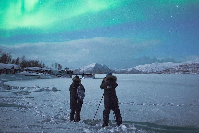 Aurora Tour with Dinner in Abisko - A three-course dinner built around northern ingredients