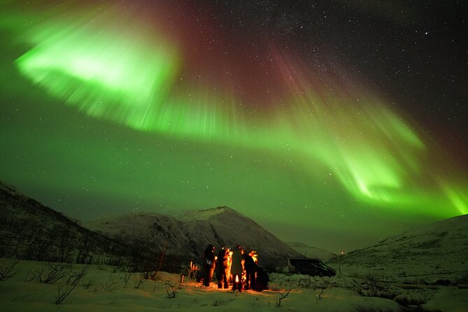 Aurora tour with free portrait and bonfire - Free portraits and practical camera help