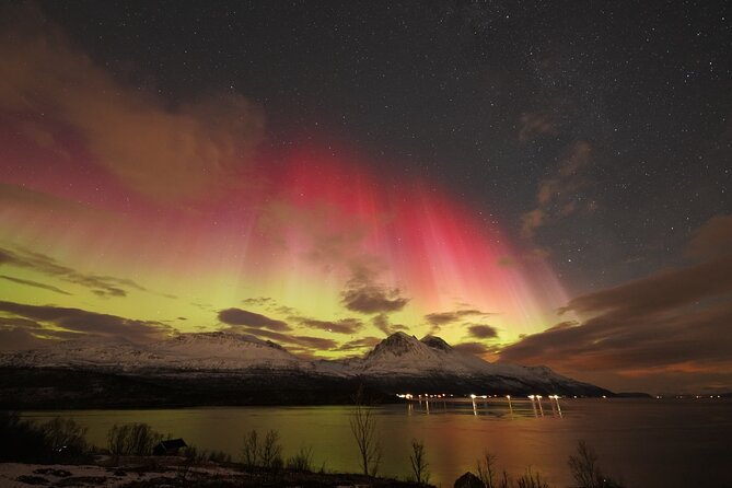 Aurora tour with free portrait and bonfire - A bonfire with cake, chocolate, and marshmallows