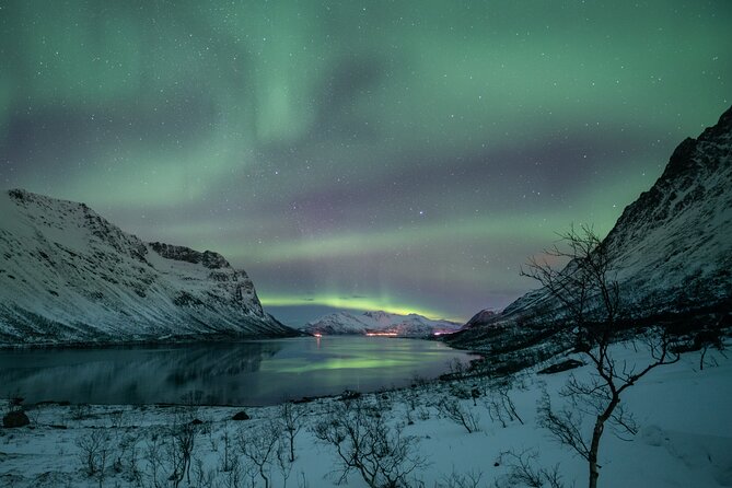 Auroras Hunt - Tour in Spanish, Northern Lights Chase in Spanish - The Cost: $243.65 for a Full Night Out