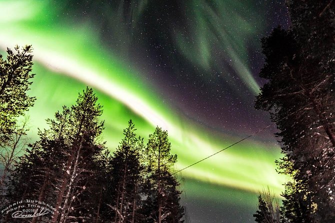 Auroras - Northern Lights Tours by Aurora Experts - Rovaniemi - Why this tour goes beyond a city lookout