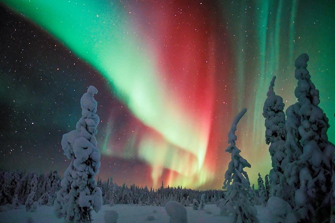 Auroras - Northern Lights Tours by Aurora Experts - Rovaniemi - How the guides handle clouds and snow