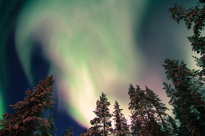 Autumn Aurora Borealis Picnic in Rovaniemi - Leaving Rovaniemi at 10 p.m.