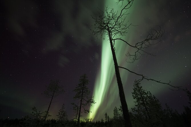 Autumn Aurora Borealis Picnic in Rovaniemi - Stories and facts from an English-speaking guide