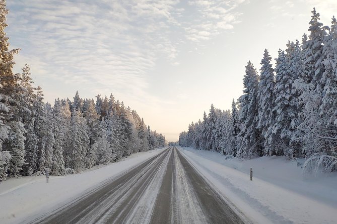 Best Of Lapland: Sauna, Ice swimming, Dinner & Northern Lights - The cold swim: what you should know before saying yes