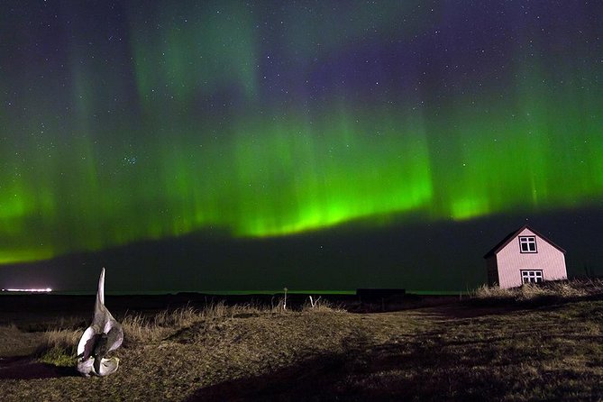 Blue Lagoon and Northern Lights Tour Including Admission - The tricky handoff before the northern lights