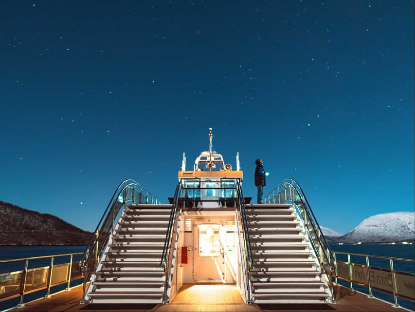 Bodø: Northern Lights Cruise - Should you book the Northern Lights Cruise?