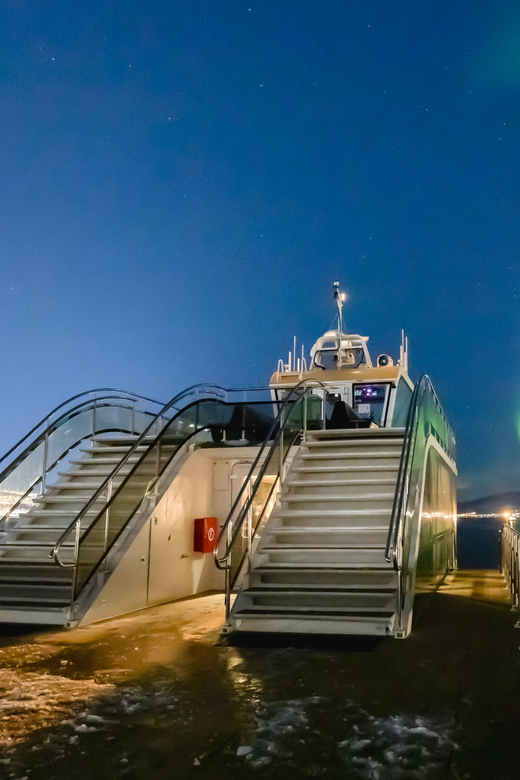 Bodø: Northern Lights Cruise - Watching the sky across Vestfjorden