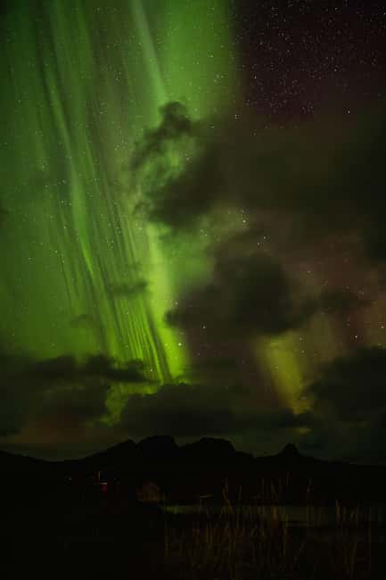 Bodø: Northern Lights safari - Key points at a glance