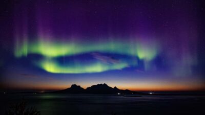 Northern Lights safari