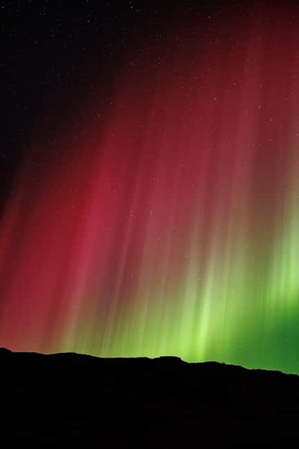 Bodø: Northern Lights safari - The guide’s role matters more than the bus