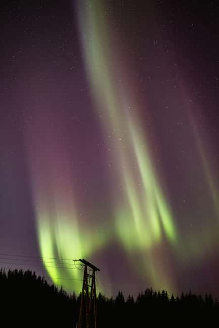 Bodø: Northern Lights safari - Getting back to the Radisson Blu Hotel