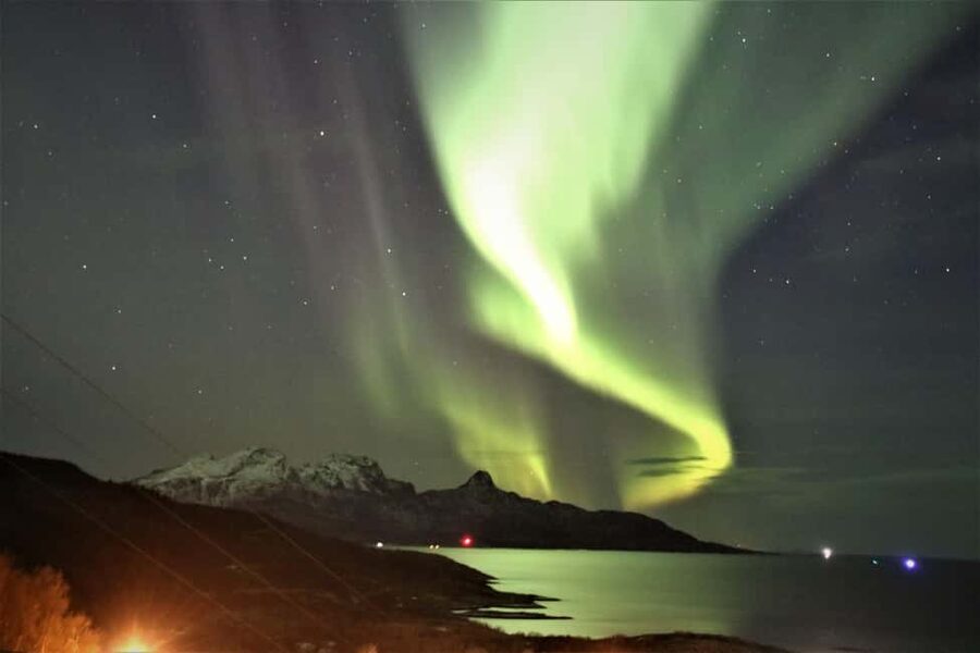 Bodø: Northern Lights safari - Who should book this Bodø aurora hunt?