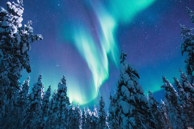 Bus Tour with Hunting Northern Lights - What happens at the Maakuntakatu meeting point