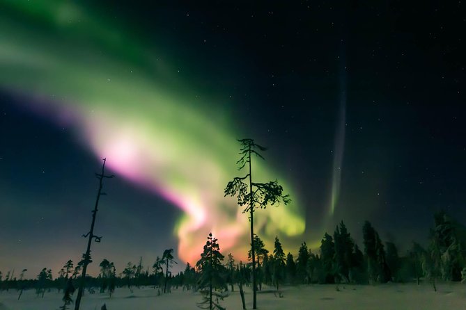 Capturing Auroras in Pyhä - Meeting at Hotel Pyhätunturi at 8:00 pm