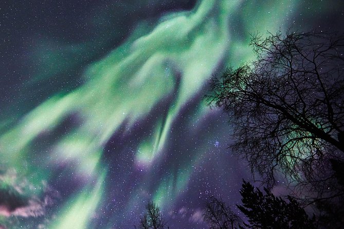 Capturing Auroras in Pyhä - Hot berry drinks make the wait easier