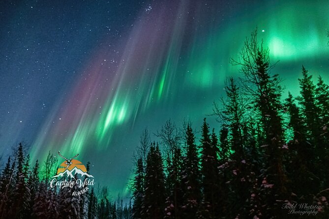 Capturing the Ethereal Beauty: Northern Lights Photo Workshop - Key points before you book