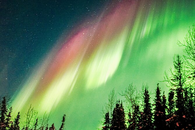 Capturing the Ethereal Beauty: Northern Lights Photo Workshop - Who will get the most from this workshop?