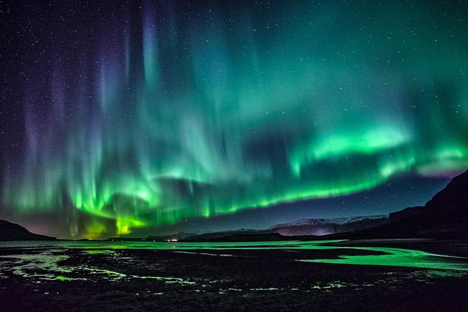 Chasing Aurora Borealis with Warmth and Treats in Premium Tour! - A small minibus changes the feel of the night