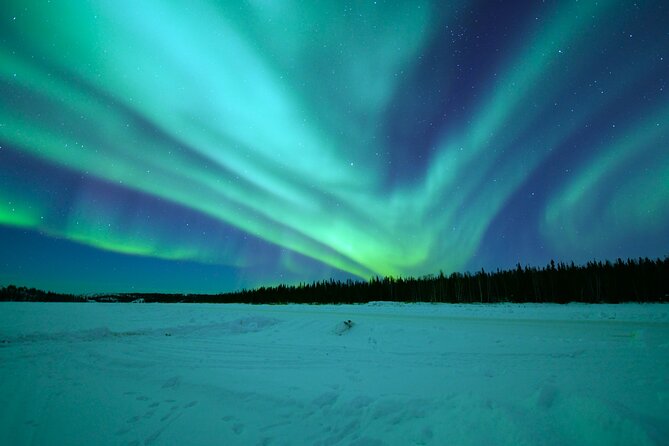 Chasing Aurora with Photographer - Small Group - Who should book this Rovaniemi night?