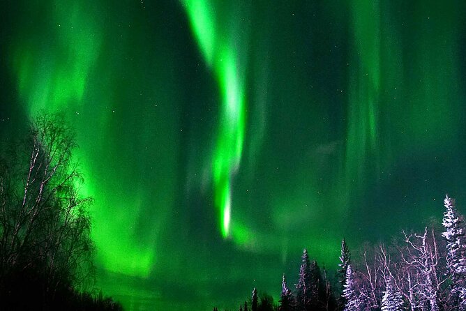 Chena Hot Springs Aurora Tour - The Tanana Valley State Forest drive