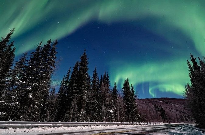 Chena Hot Springs plus Aurora Chase Tour - Photography help, portraits, and rental gear