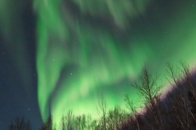 Chena Hot Springs plus Aurora Chase Tour - Group size, comfort, and practical limits
