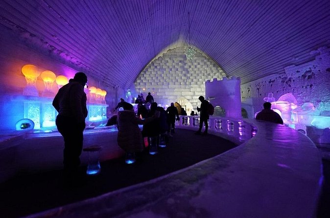 Chena Hot Springs plus Aurora Chase Tour - Weather, cancellations, and the real aurora gamble