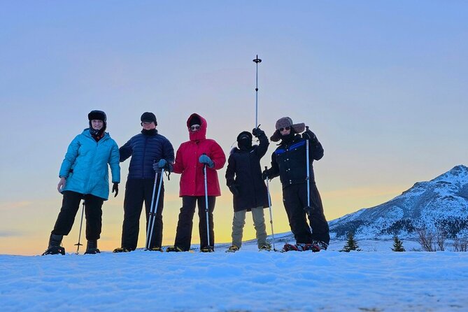 Denali National Park Plus Aurora Chase Tour - One long Alaska day from Fairbanks