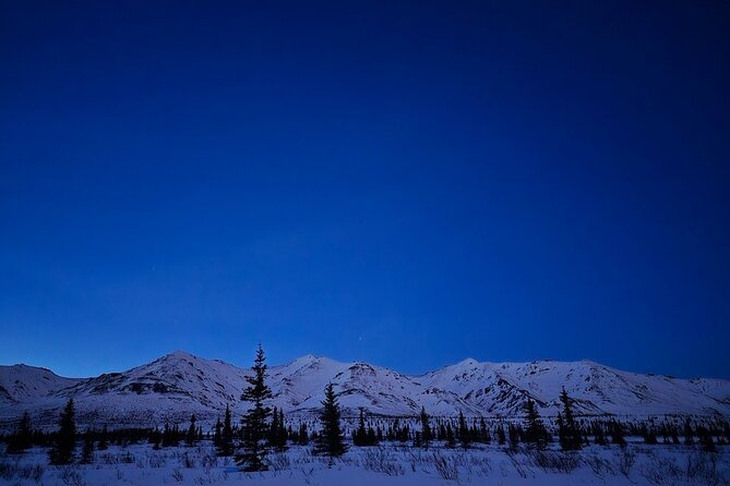 Denali National Park Plus Aurora Chase Tour - A short hike or an easy snowshoe walk
