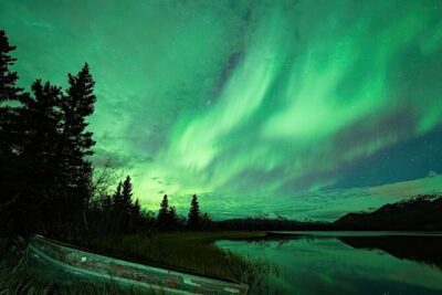 Denali National Park Plus Aurora Chase Tour