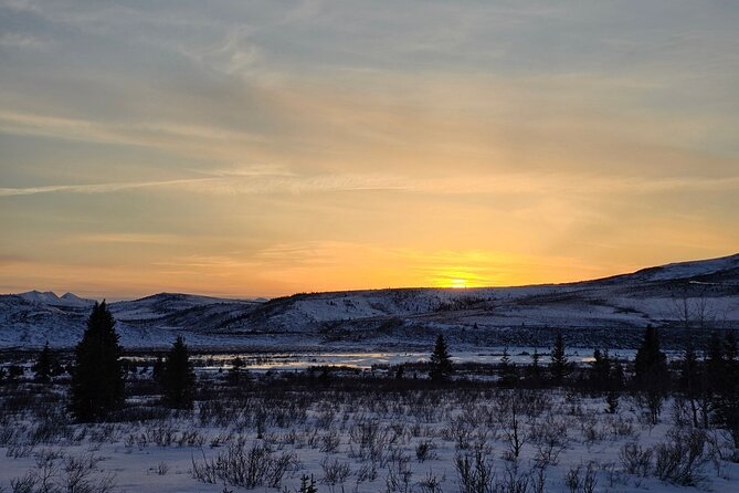 Denali National Park Plus Aurora Chase Tour - Photography help for phones and cameras
