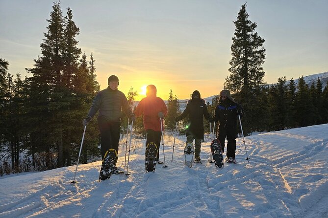 Denali National Park Plus Aurora Chase Tour - Is $350 a fair price?